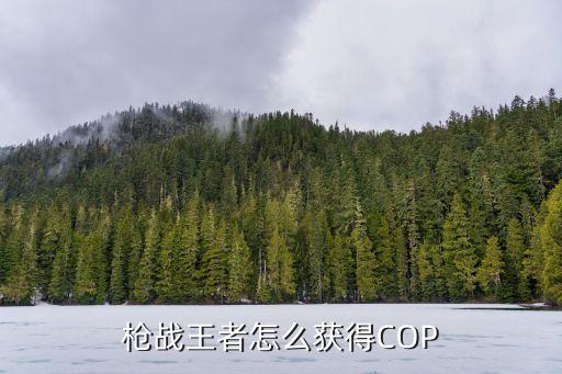 cf手游克洛克改裝怎么獲得，cf手游glock18小金剛怎么獲得...